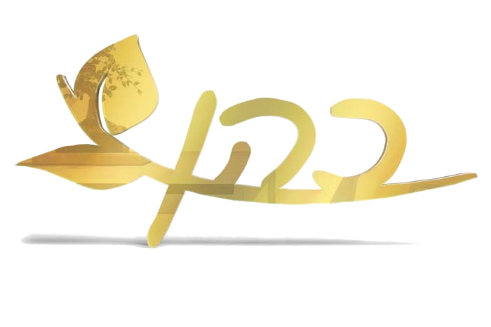 שלט לדלת - פרספקס מראה