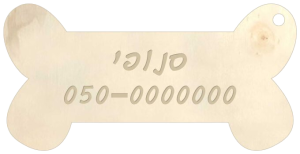 תג שם עצם